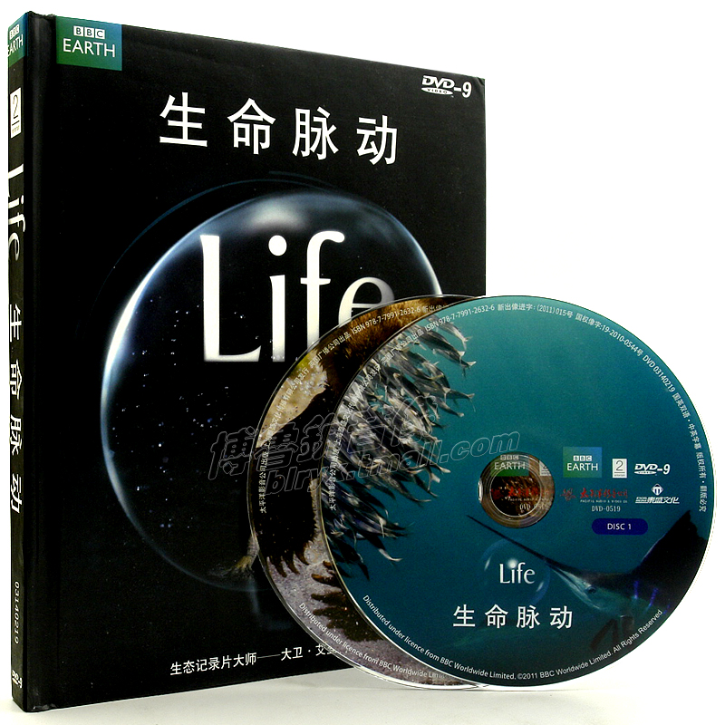 洛伊]电影《克洛伊》图解评测 克洛伊 马菲雅电