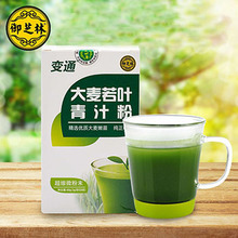 大麦若叶粉大麦若叶青汁粉 大麦苗粉末 20袋装 御芝林大麦若叶青汁