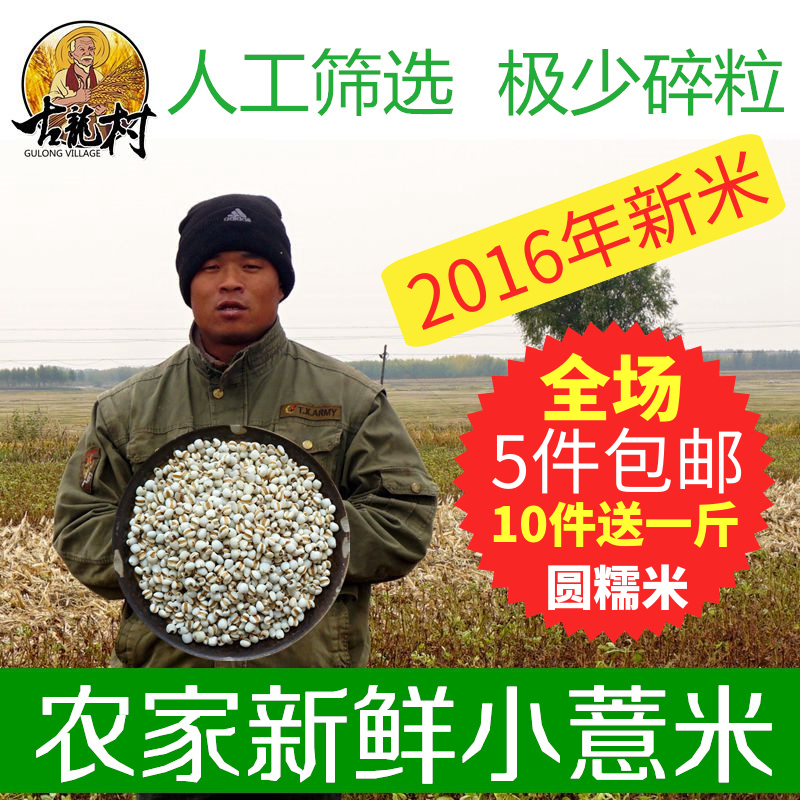 2016年精选农家小薏米仁 优质小薏米薏苡仁米 新货杂粮薏仁米500g