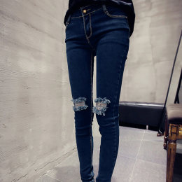 [2015爆款]满十元包邮 阳台盆栽 花卉种子 玫瑰