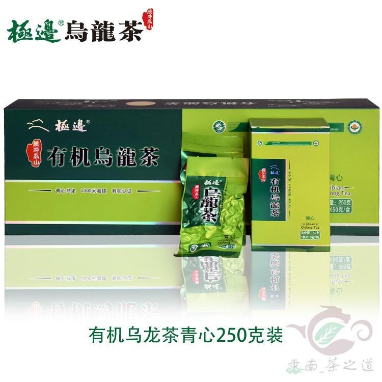 乌龙茶 青心软枝冻顶乌龙云南特产 腾冲极边有机青心250克装 包邮