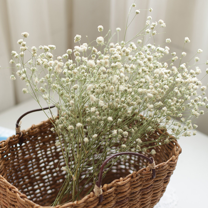 昆明鲜花干花白色满天星十枝一束永生花配花配材非仿真花价格