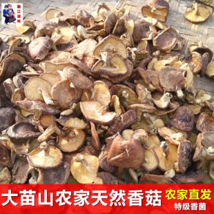 ز ز㹽250g ؼ㹽ҰƷũֲ 㹽