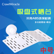 草龟巴西龟剃刀黄头晒背补钙浮台 水龟塑料造景 CM亚克力乌龟晒台