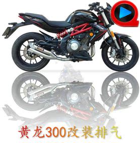 [折扣]亿西尔正品 黄龙600亿西尔排气购买 亿西