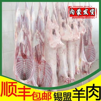 羊肉 全羊 整羊 内蒙古锡盟新鲜 苏尔雅特锡盟全