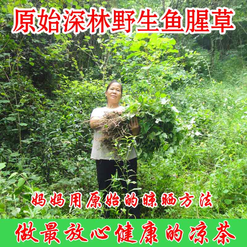 野生鱼腥草干 贵州鱼腥草茶折耳根干特级250g包邮特价买三送一