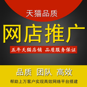 网店铺淘产品搜索访问量人气浏览量宝贝引流量推广包月代运营托管
