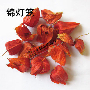 中药材红姑娘/灯笼草/挂金灯/锦灯笼果/灯笼果 酸浆 天灯笼 500克