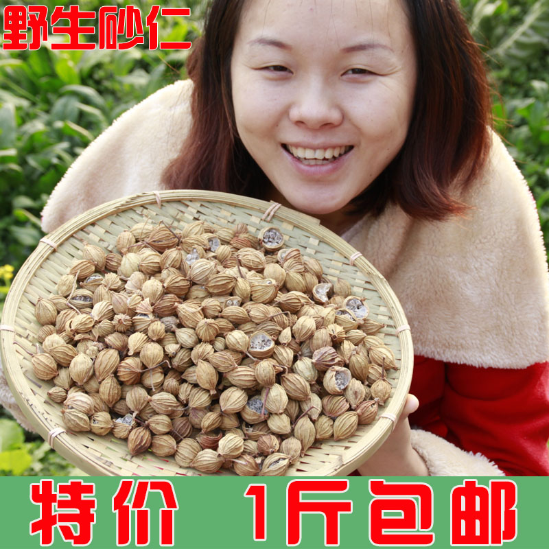 川砂仁 沙仁 香砂仁 壳砂仁 香砂 川菜调料 炖肉卤菜火锅必备香料