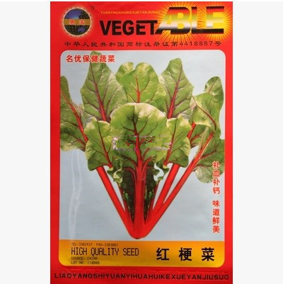 优质蔬菜 野生红梗菜 红菠菜 野菜种子 补血补钙 阳台盆栽 四季