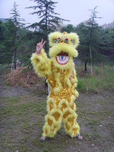 儿童南狮 单人南狮 醒狮羊毛狮子幼儿舞狮道具 小孩单人狮
