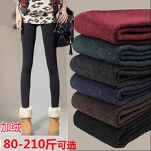 女装 200斤七彩棉厚保暖加绒高腰打底裤 胖MM加肥加大码 秋冬加厚款