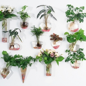 创意水培玻璃花瓶悬挂式