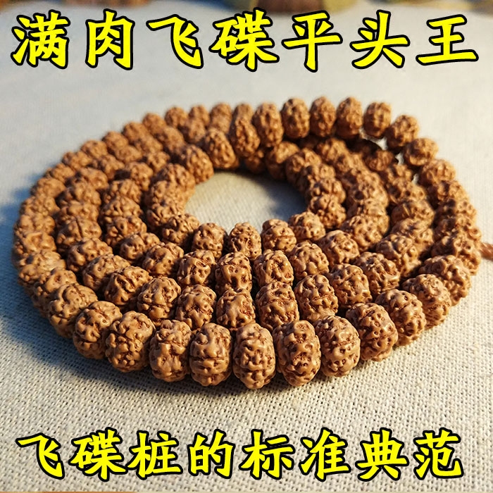 矮桩小金刚