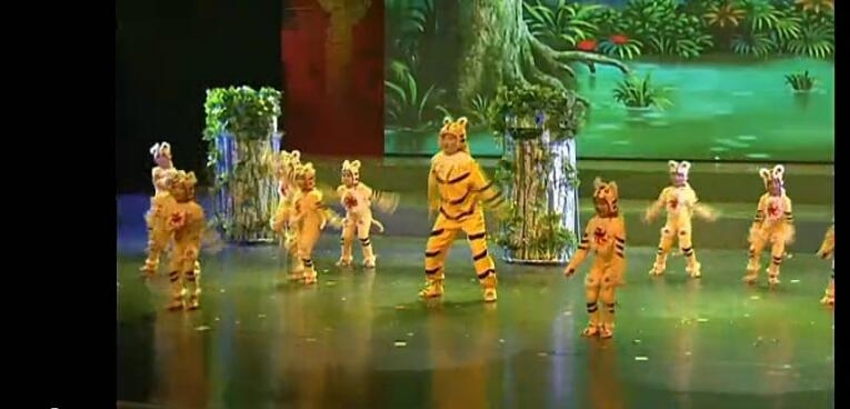 订做老虎照镜子少儿舞蹈服 儿童演出服 幼儿舞蹈小老虎 动物服_双氙