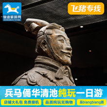 飞猪专线陕西西安旅游兵马俑一日游纯玩跟团华清池骊山长恨歌门票