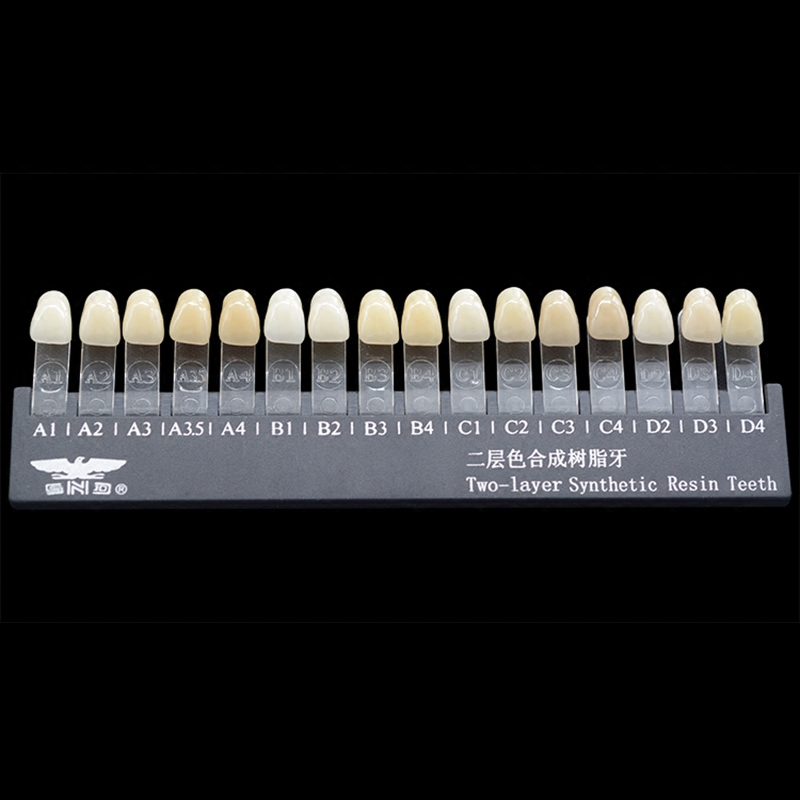 牙科技工材料 vita 16色 比色板 牙齿比色 对色板