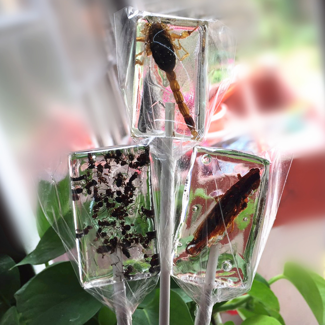 创意昆虫手工零食星空棒棒糖蝎子糖果蠕虫子糖男女生日520节礼物_爱酷