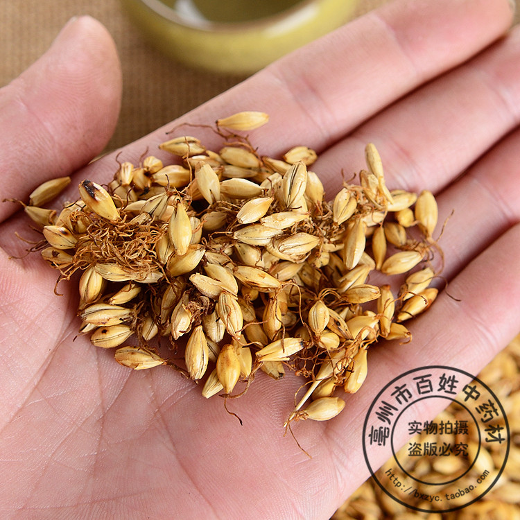 中药材 炒麦芽 焦麦芽 熟大麦芽茶 500g 4元