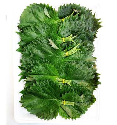 新鲜香叶 紫苏叶 大叶 寿司料理刺身装饰叶 一盒10小把约100片