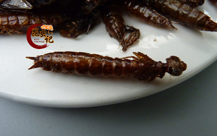 即食虫子 现炸水蜻蜓 野生水蝎子 佐酒佳肴 50克