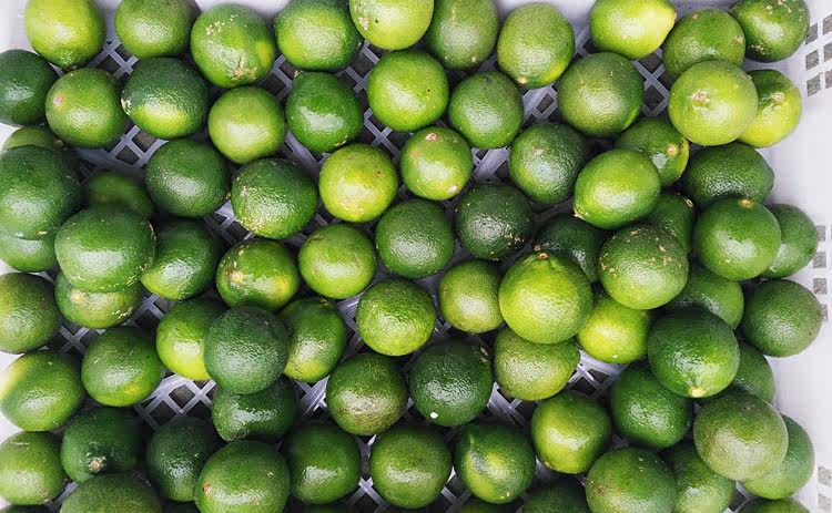 越南小青柠檬500g 单个约30-40g 新鲜水果 水吧原料 武汉满百包邮