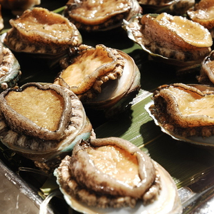 鲜活鲍鱼 活冻大连鲍鱼 野生鲍鱼 350g/袋 8只大号 戴好运