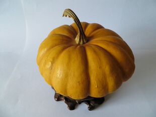 南瓜文玩葫芦包浆本地手捻把玩天然微型精品美国收藏龙头种子f96