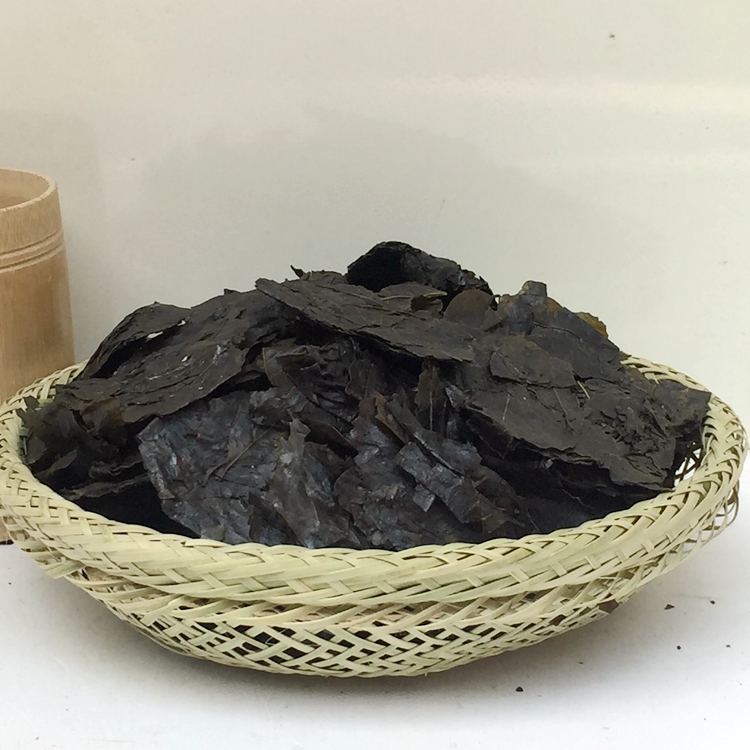 特級苦丁茶500g包郵海南苦丁茶批發野生小葉降壓茶初級農產品