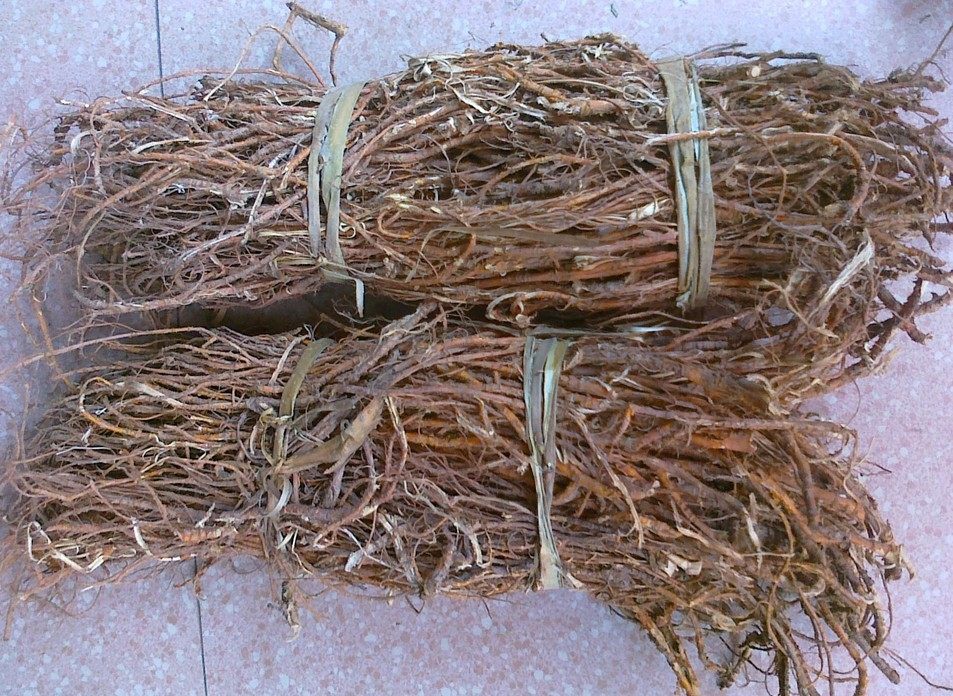 纯正野生中药材桑白皮桑根皮 老桑树根皮切段干品 防脱发去头皮屑