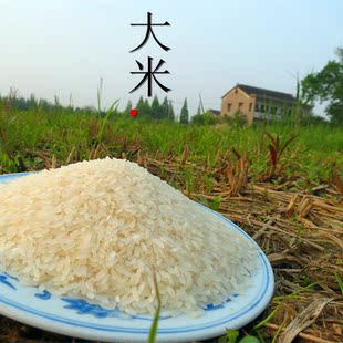 厨房80后厨房 农家自种有机大米无污染新米自家吃的口 海宁斜桥大米