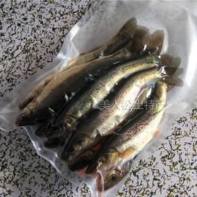 正宗東北野生小河魚新鮮淡水河魚雜魚氣調保鮮兩盒順豐包郵