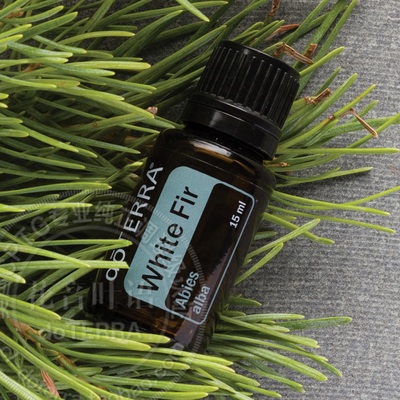 (美国订购) 多特瑞doterra白冷杉单方精油15ml正品限时促销