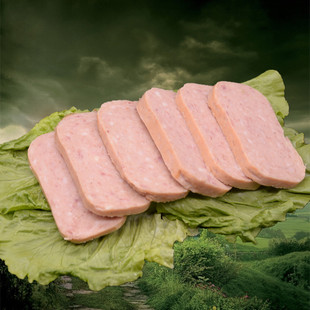 烤肉 庄园烤肉 烧烤食材 梅林午餐肉 340克