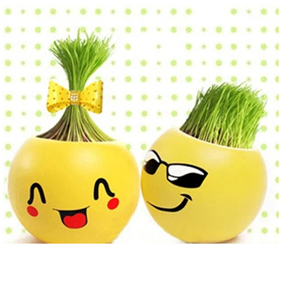 9351 酷儿表情 办公室迷你植物盆栽 青草种植 栽培草头娃娃      新品