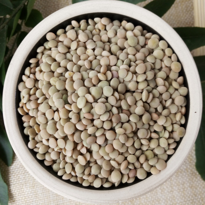 小扁豆新小扁豆16年小扁豆豌豆 天然无污染山地扁豆500克