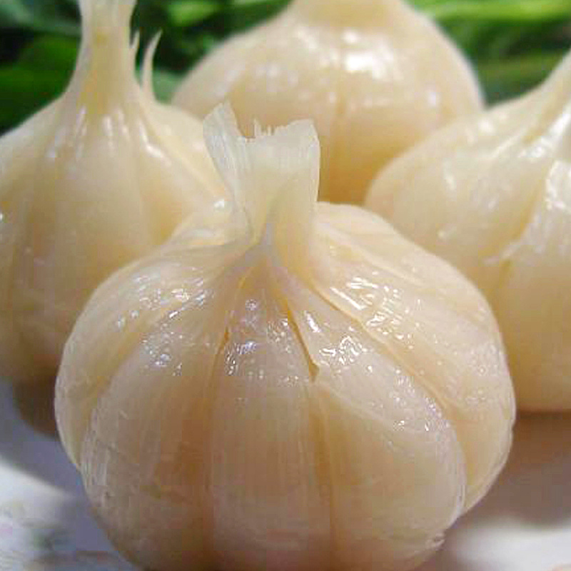 安徽阜阳特产糖醋蒜糖蒜甜蒜糖蒜头白砂糖腌制大蒜500g