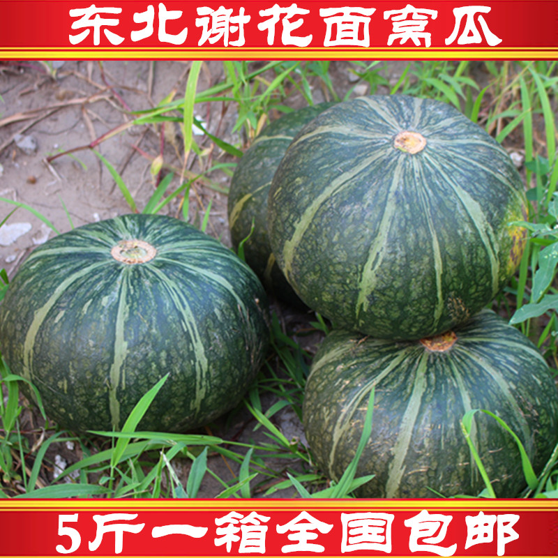 东北农家窝瓜东北倭瓜谢花面南瓜新鲜蔬菜农家绿色特产5斤装包邮