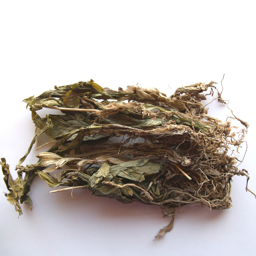 见血清野生新鲜中草药见血青中药材鲜品李正磊三角枫可做盆景包邮