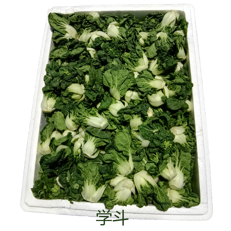 宁夏精选白菜仔 3斤装_爱酷商城(ikoo8.com)