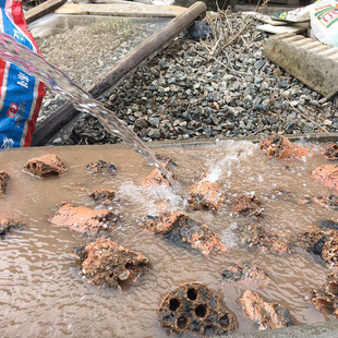 蜂窝煤渣去硫煤渣颗粒土煤球渣蜂窝煤渣干净多肉兰花土小中粒1升