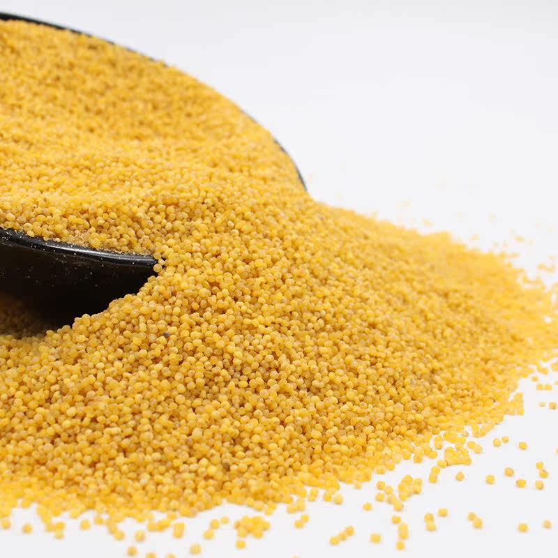 陕西米脂农家小米黄小米陕北小米小黄米300g五谷杂粮宝宝米月子米