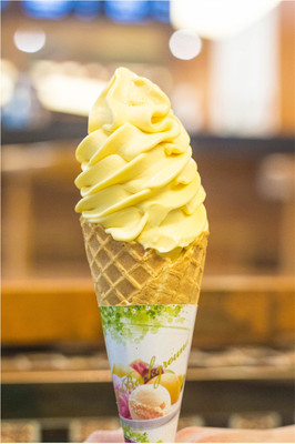 冰激凌蛋筒300支中号 冰淇淋甜筒 脆筒脆皮 蛋托 华夫筒 蛋卷