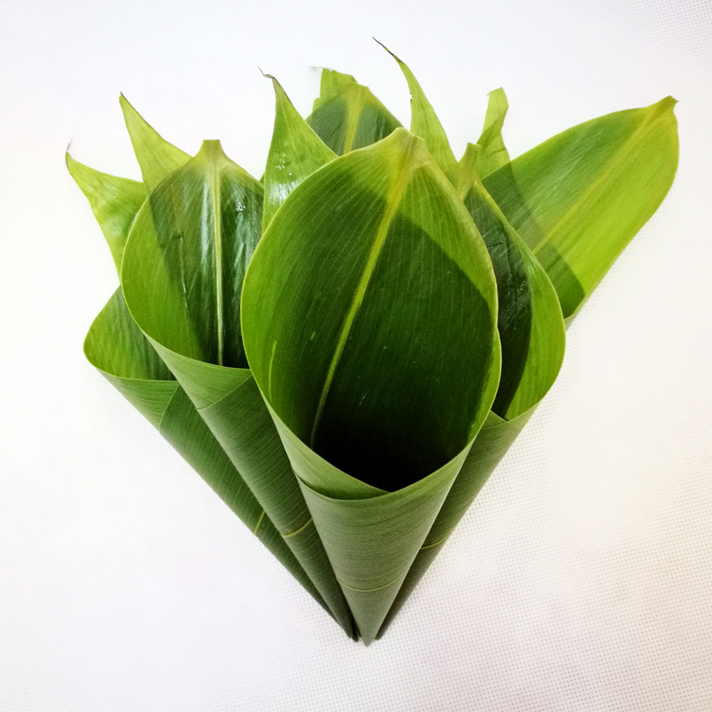 粽子叶大粽叶野生干粽叶新鲜正宗纯天然现摘现发棕叶包邮大宽免邮