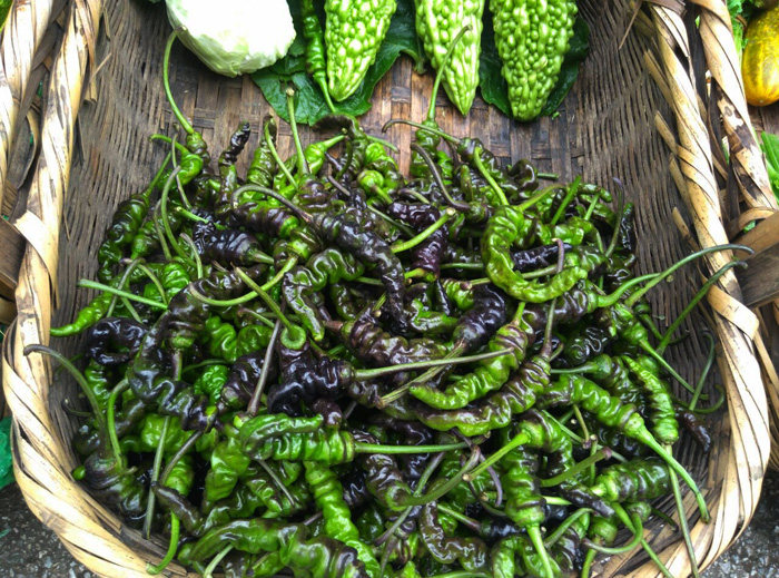 云南扭扭辣椒螺丝辣椒子 紫色绿色青椒新鲜现摘香辣椒 独特小黑辣