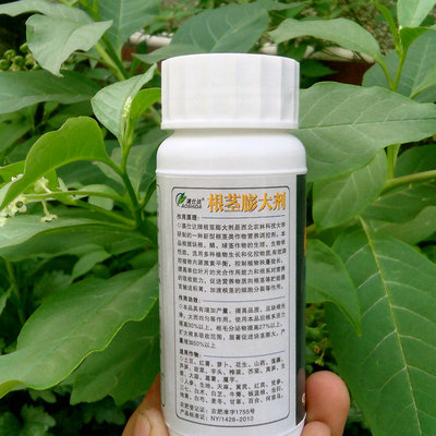 澳仕达 根茎膨大剂 块茎膨大素山药生姜莲藕茭白花生牛大力新包装