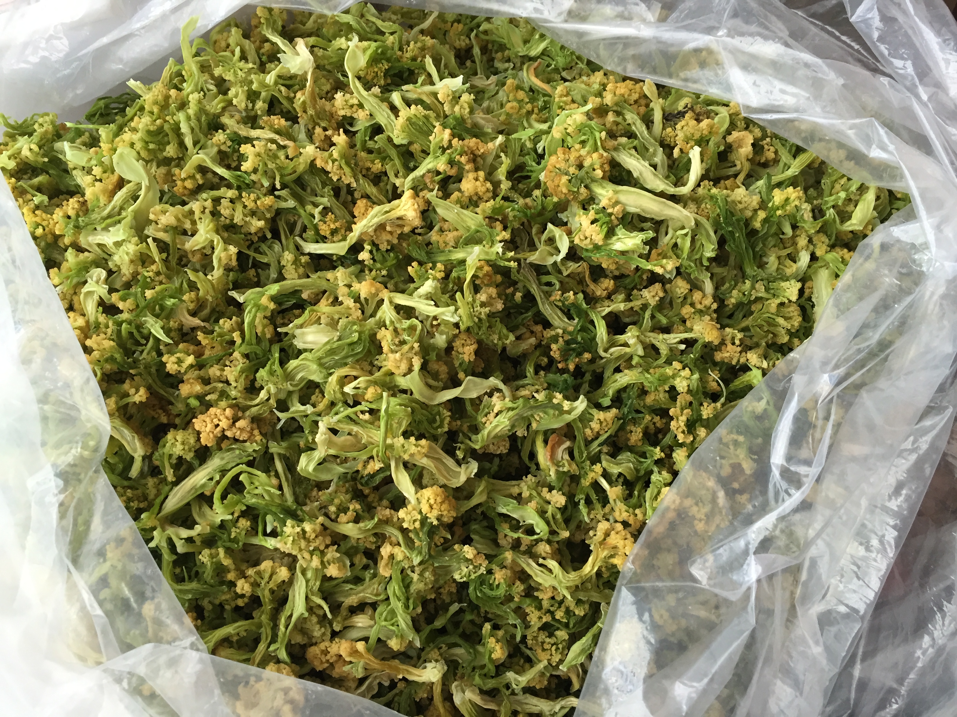 溫州特產 農家花菜乾 天然椰菜花幹 綠色乾花菜特產乾貨200g