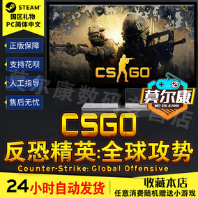 pc中文steam cs go csgo 反恐精英全球攻勢 csgo cs:go steam遊戲