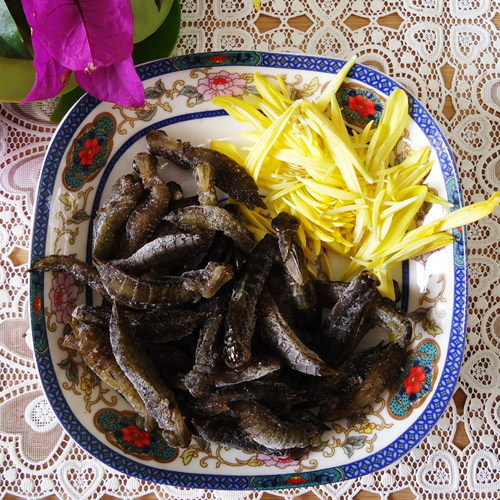 云南野味速冻昆虫野生水蜻蜓油炸美味酥香佐酒佳品酒店食材